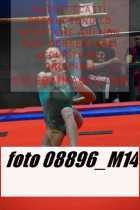 08896_M14-