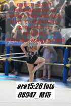 08947_M15-