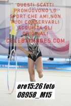 08958_M15-