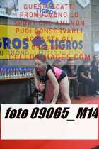 09065_M14-