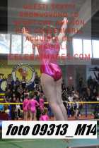 09313_M14-