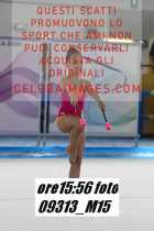 09313_M15-