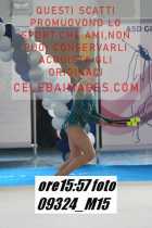 09324_M15-