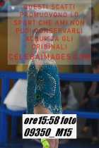 09350_M15-