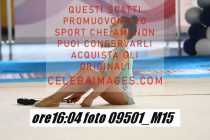 09501_M15-