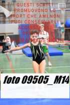 09505_M14-