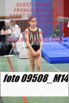 09508_M14-