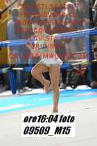 09509_M15-