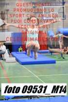 09531_M14-