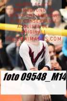 09548_M14-