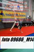 09686_M14-