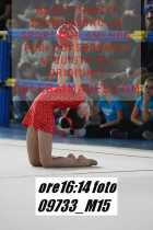 09733_M15-