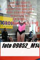 09852_M14-