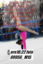 09956_M15-
