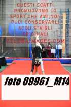 09961_M14-