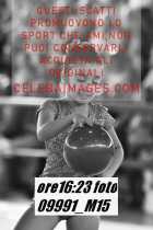 09991_M15-