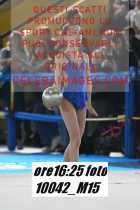 10042_M15-