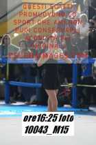 10043_M15-