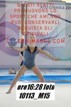 10113_M15-