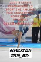10118_M15-