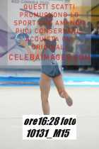 10131_M15-