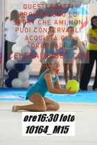 10164_M15-