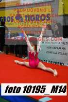 10195_M14-