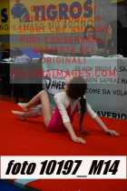 10197_M14-