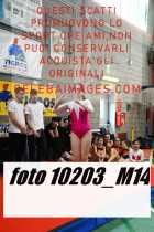 10203_M14-
