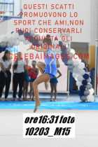 10203_M15-