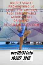 10207_M15-