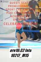 10217_M15-