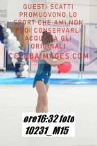 10231_M15-