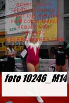 10246_M14-