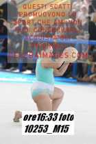 10253_M15-