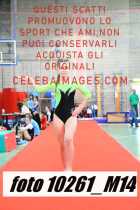 10261_M14-