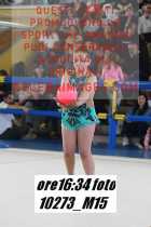 10273_M15-
