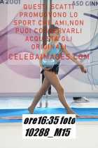 10288_M15-