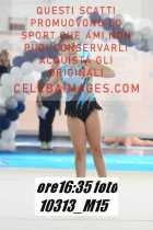 10313_M15-