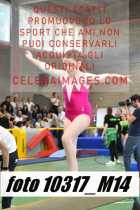 10317_M14-