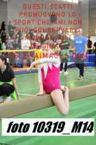 10319_M14-