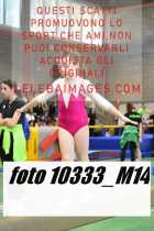 10333_M14-