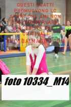 10334_M14-