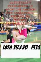 10336_M14-