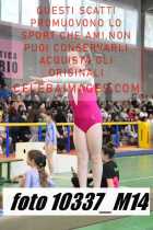 10337_M14-