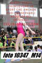 10347_M14-