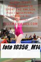 10356_M14-