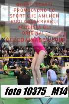 10375_M14-