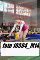 10384_M14-