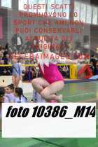10386_M14-